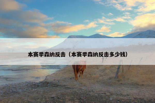 本赛季森纳反击（本赛季森纳反击多少钱）