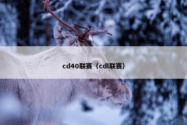 cd40联赛（cdl联赛）