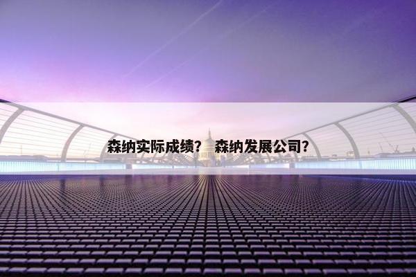 森纳实际成绩？ 森纳发展公司？