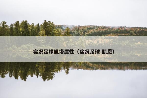 实况足球凯塔属性（实况足球 凯恩）