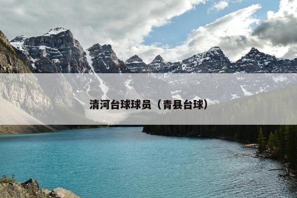 清河台球球员（青县台球）
