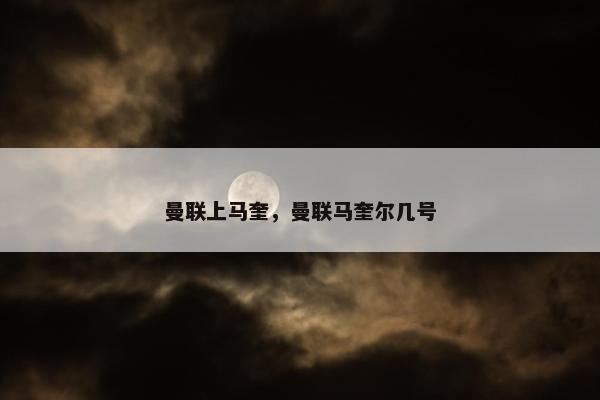 曼联上马奎，曼联马奎尔几号