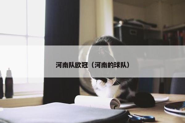 河南队欧冠（河南的球队）