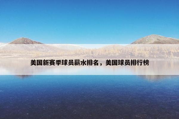 美国新赛季球员薪水排名，美国球员排行榜