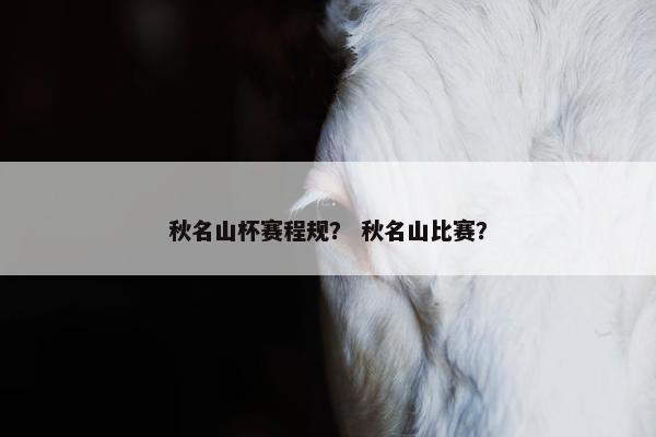 秋名山杯赛程规？ 秋名山比赛？