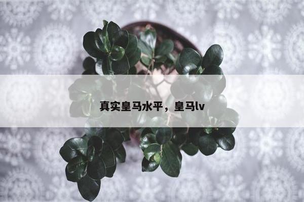真实皇马水平，皇马lv