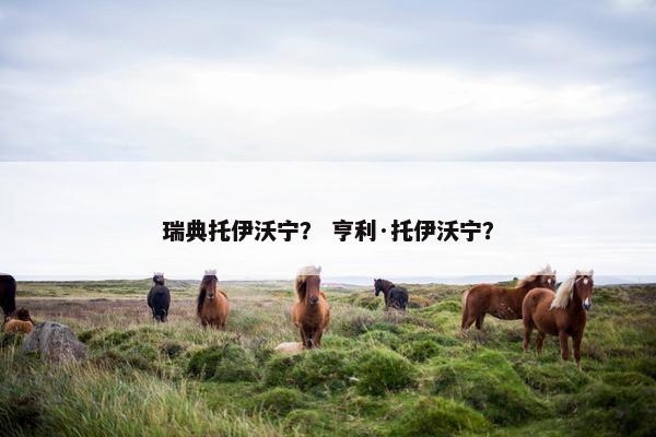 瑞典托伊沃宁？ 亨利·托伊沃宁？