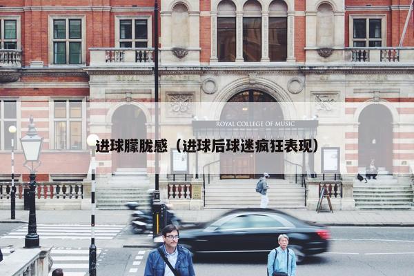 进球朦胧感（进球后球迷疯狂表现）