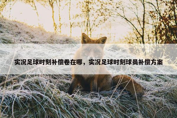 实况足球时刻补偿卷在哪，实况足球时刻球员补偿方案