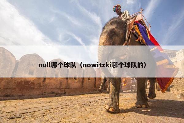 null哪个球队（nowitzki哪个球队的）