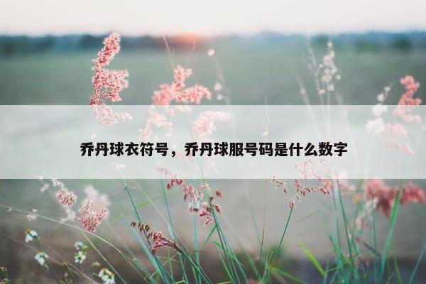 乔丹球衣符号，乔丹球服号码是什么数字