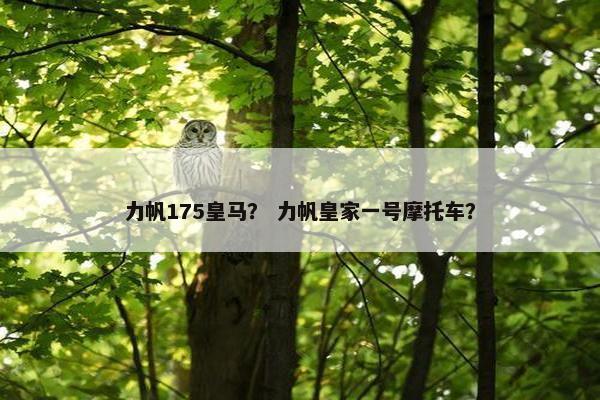 力帆175皇马？ 力帆皇家一号摩托车？