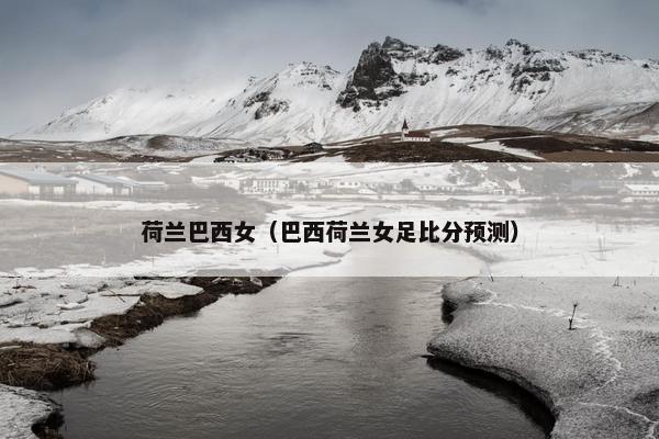 荷兰巴西女（巴西荷兰女足比分预测）