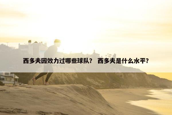西多夫因效力过哪些球队？ 西多夫是什么水平？