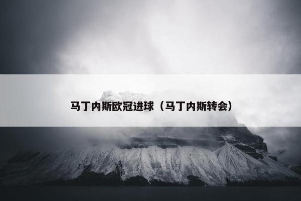 马丁内斯欧冠进球（马丁内斯转会）
