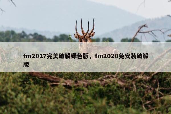 fm2017完美破解绿色版，fm2020免安装破解版