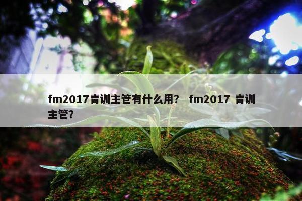 fm2017青训主管有什么用？ fm2017 青训主管？