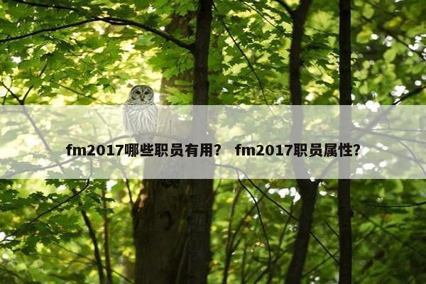 fm2017哪些职员有用？ fm2017职员属性？