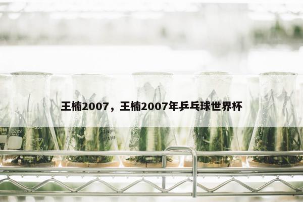 王楠2007，王楠2007年乒乓球世界杯