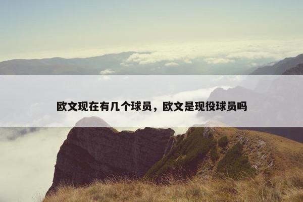 欧文现在有几个球员，欧文是现役球员吗