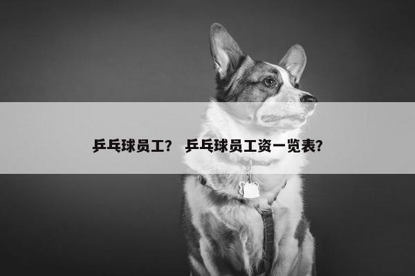 乒乓球员工？ 乒乓球员工资一览表？