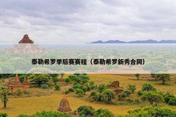 泰勒希罗季后赛赛程（泰勒希罗新秀合同）