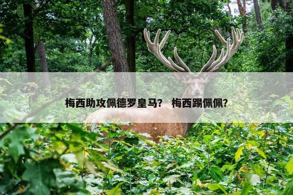 梅西助攻佩德罗皇马？ 梅西踢佩佩？