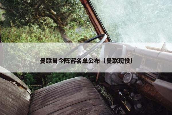 曼联当今阵容名单公布（曼联现役）