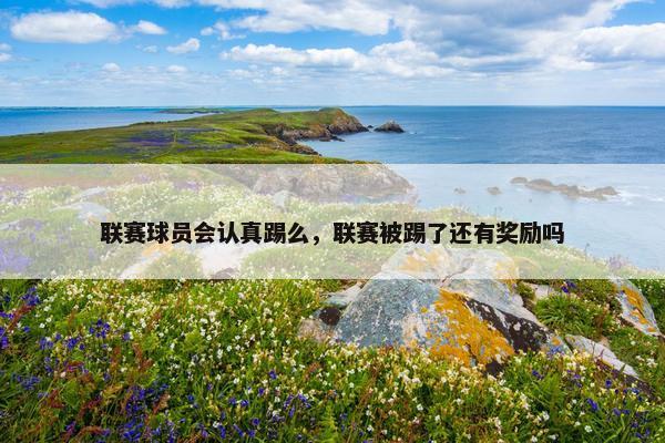联赛球员会认真踢么，联赛被踢了还有奖励吗