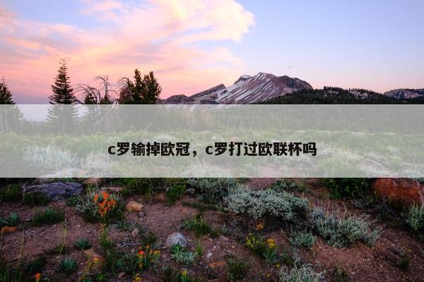 c罗输掉欧冠，c罗打过欧联杯吗