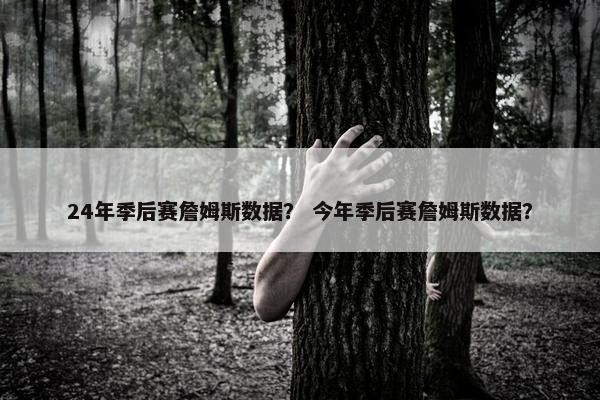 24年季后赛詹姆斯数据？ 今年季后赛詹姆斯数据？