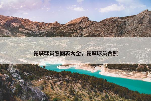 曼城球员照图表大全，曼城球员合照