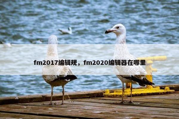 fm2017编辑规，fm2020编辑器在哪里