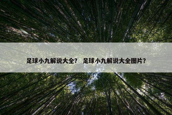足球小九解说大全？ 足球小九解说大全图片？