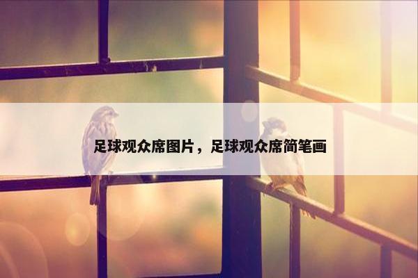 足球观众席图片，足球观众席简笔画