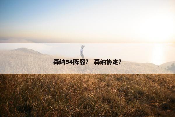 森纳54阵容？ 森纳协定？