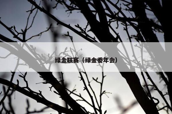 绿金联赛（绿金委年会）