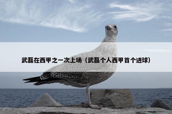 武磊在西甲之一次上场（武磊个人西甲首个进球）
