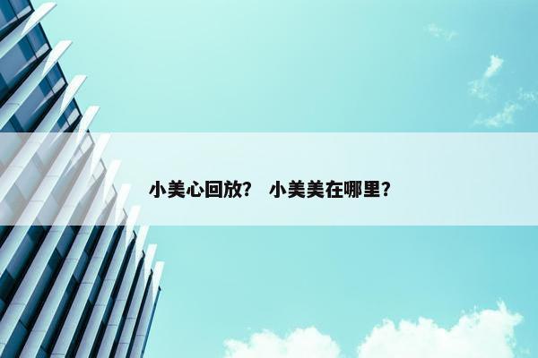 小美心回放？ 小美美在哪里？