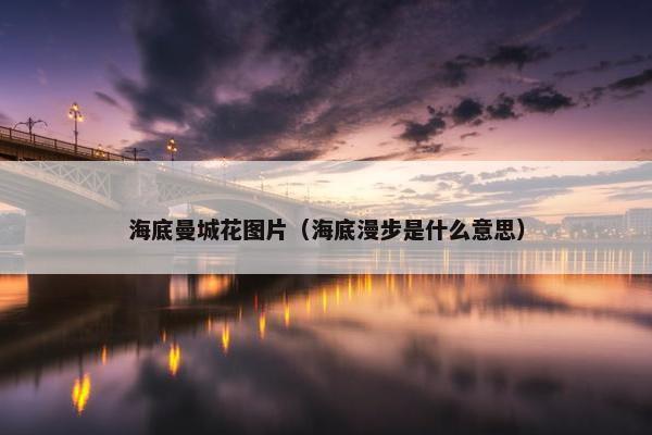 海底曼城花图片（海底漫步是什么意思）