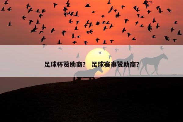 足球杯赞助商？ 足球赛事赞助商？