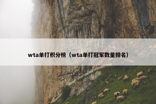 wta单打积分榜（wta单打冠军数量排名）