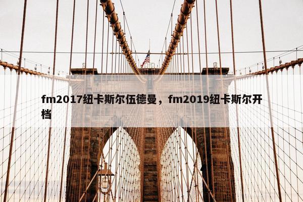fm2017纽卡斯尔伍德曼，fm2019纽卡斯尔开档