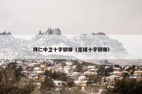 拜仁中卫十字韧带（足球十字韧带）