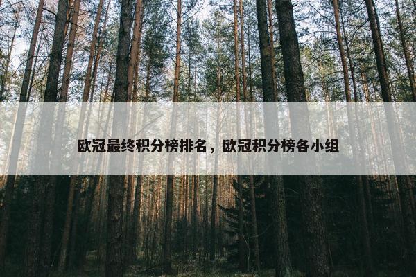 欧冠最终积分榜排名，欧冠积分榜各小组