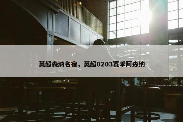 英超森纳名宿，英超0203赛季阿森纳