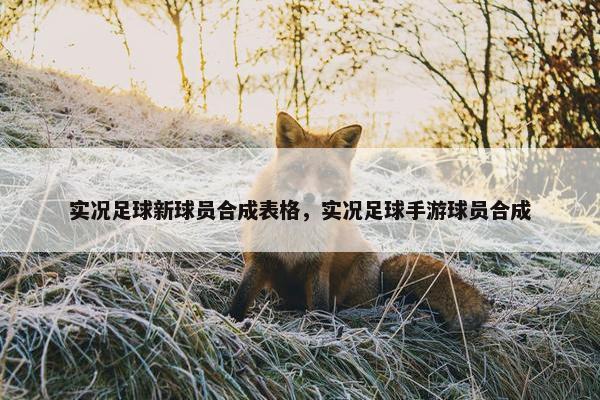 实况足球新球员合成表格，实况足球手游球员合成