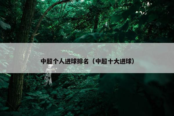 中超个人进球排名（中超十大进球）
