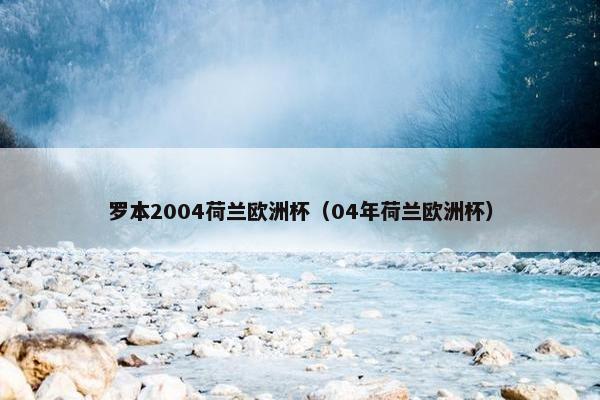 罗本2004荷兰欧洲杯（04年荷兰欧洲杯）