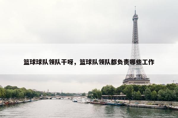 篮球球队领队干呀，篮球队领队都负责哪些工作